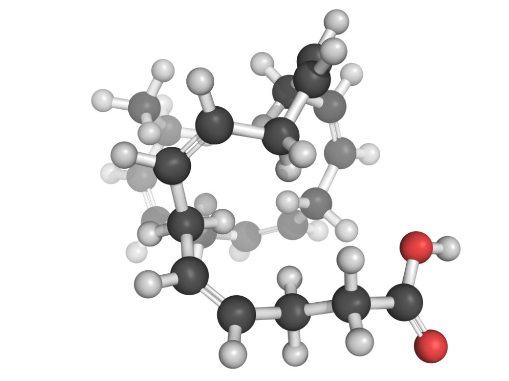 Illustration d’une molécule d’acide gras polyinsaturé (ADH)