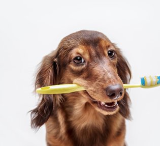 Denta+ : le gage d’une bonne hygiène bucco-dentaire