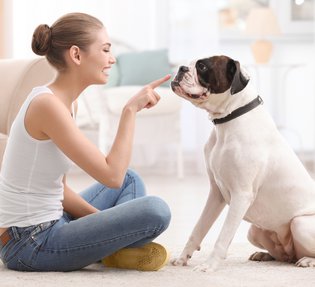 Oméga-3 et oméga-6 dans l’alimentation du chien: Pour la santé de la peau et du pelage