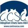 Adoption Chats Sans Abri