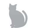 Senior cat icon